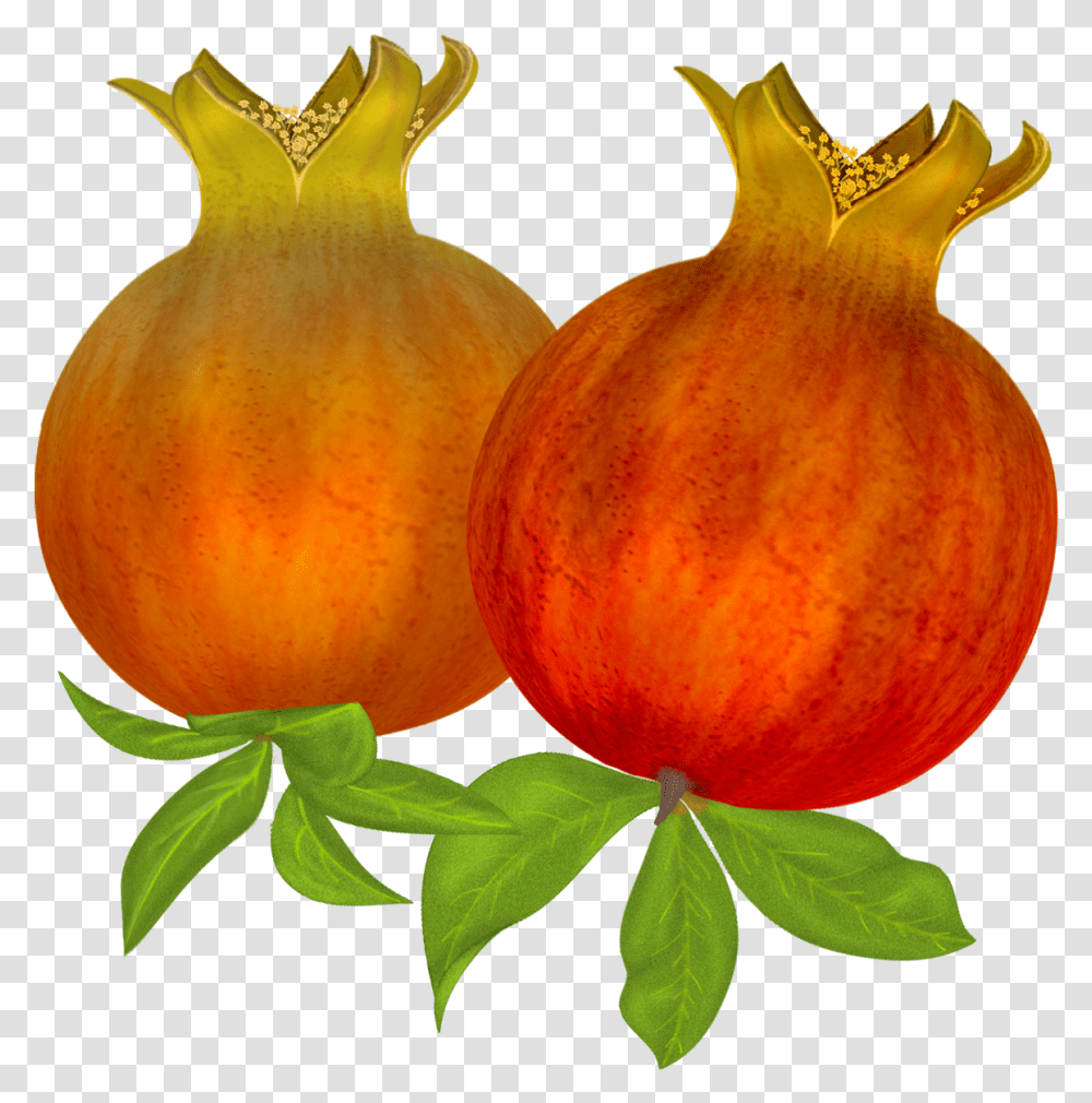 Pomegranate, Fruit, Plant, Food, Produce Transparent Png