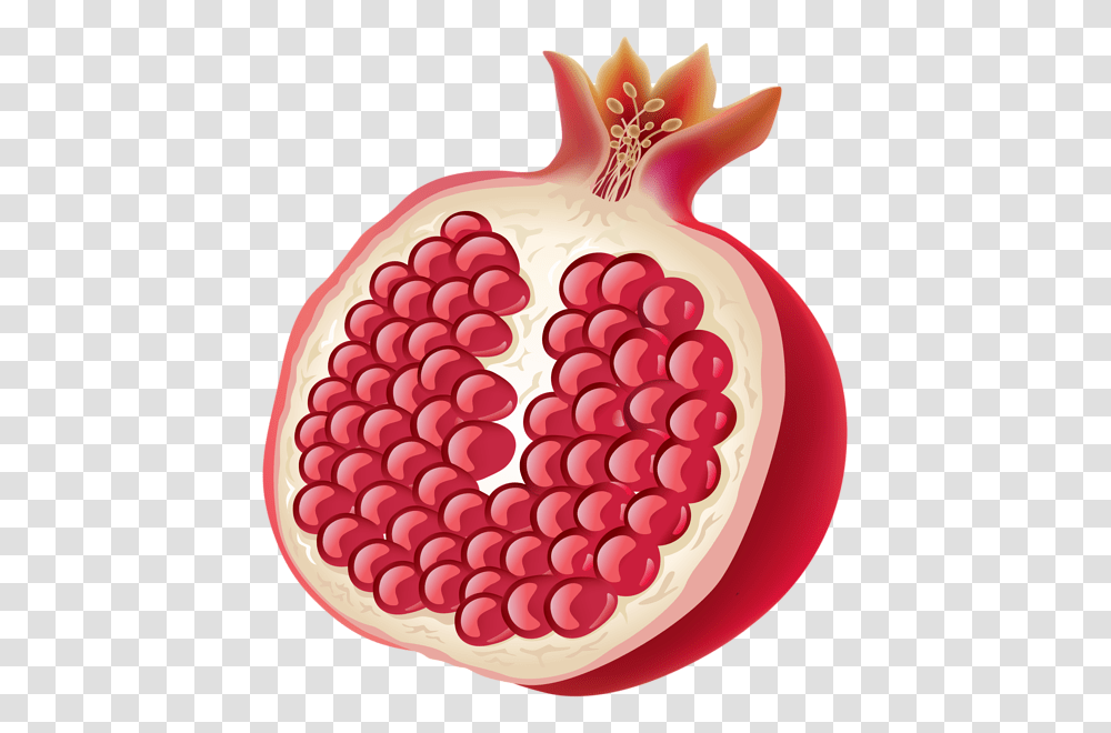 Pomegranate, Fruit, Plant, Food, Raspberry Transparent Png