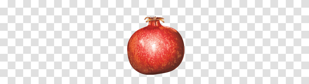 Pomegranate, Fruit, Plant, Produce, Food Transparent Png