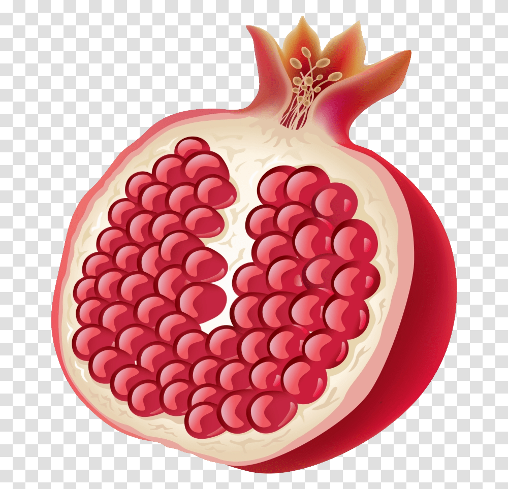 Pomegranate, Fruit, Plant, Raspberry, Food Transparent Png