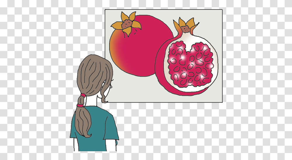 Pomegranate Illustration, Plant, Fruit, Food, Produce Transparent Png