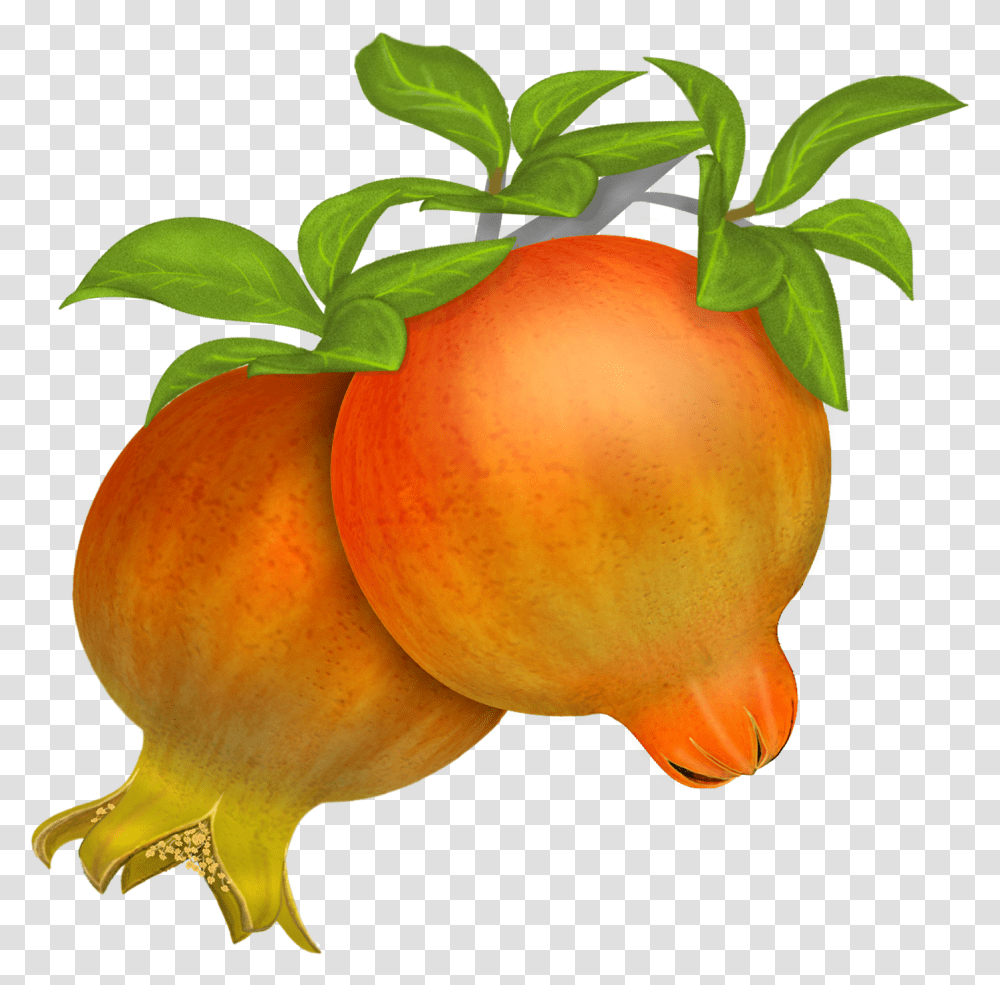 Pomegranate In Vector Clipart Download Pomegranate, Plant, Fruit, Food, Produce Transparent Png