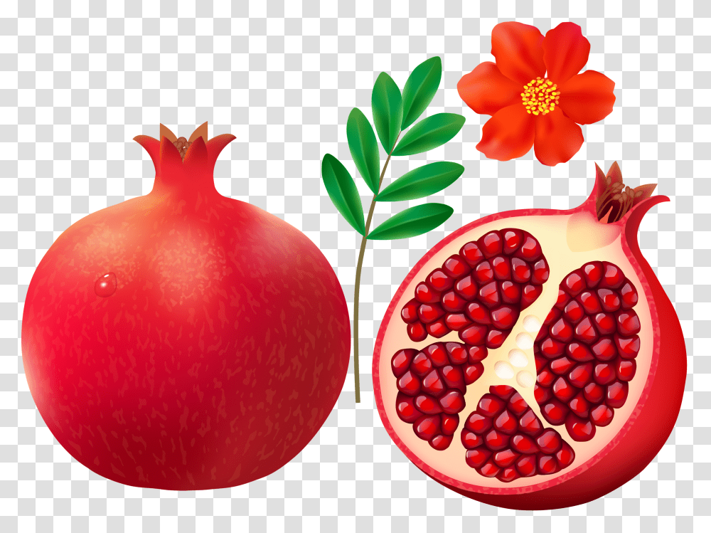 Pomegranate On White Background, Plant, Fruit, Food, Produce Transparent Png