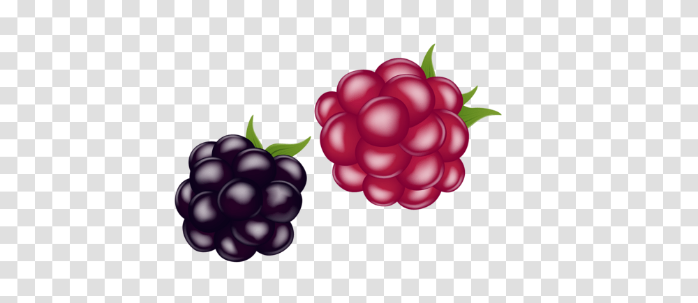 Pomegranate, Plant, Fruit, Food, Grapes Transparent Png