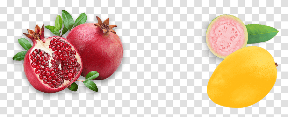 Pomegranate Powder Pomegranate Apple, Plant, Fruit, Food, Produce Transparent Png
