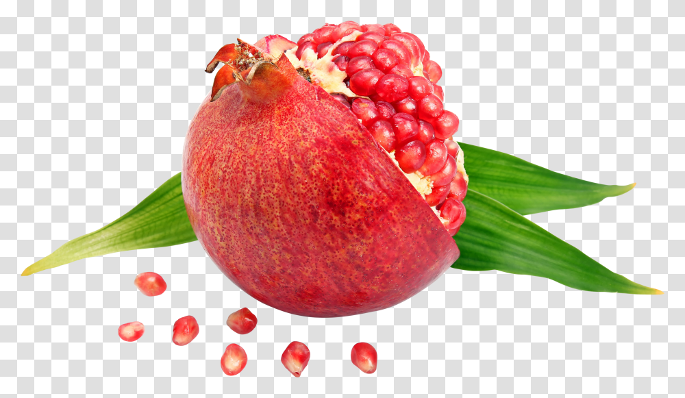 Pomegranate Transparent Png