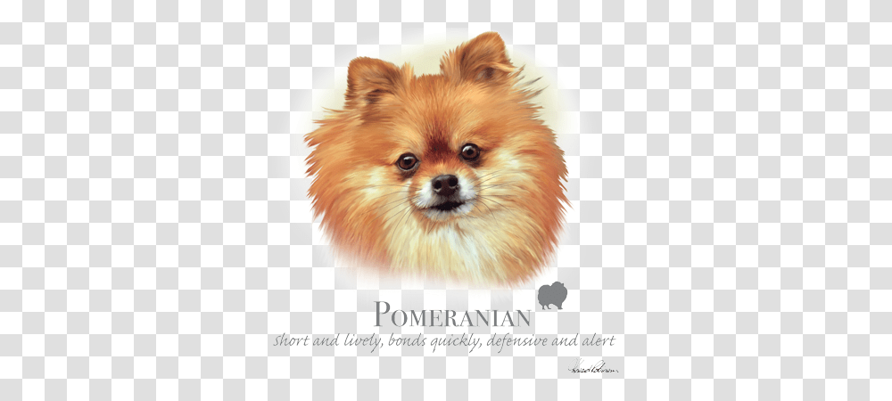 Pomeranian Rottweiler Dachshund Terrier, Puppy, Dog, Pet, Canine Transparent Png