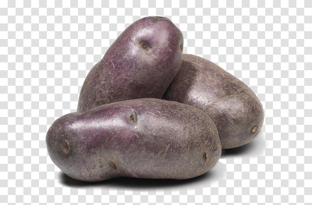 Pommes De Terre Violettes Fingerling Potato, Plant, Vegetable, Food, Produce Transparent Png