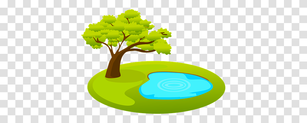 Pond Nature, Tree, Plant, Vegetation Transparent Png