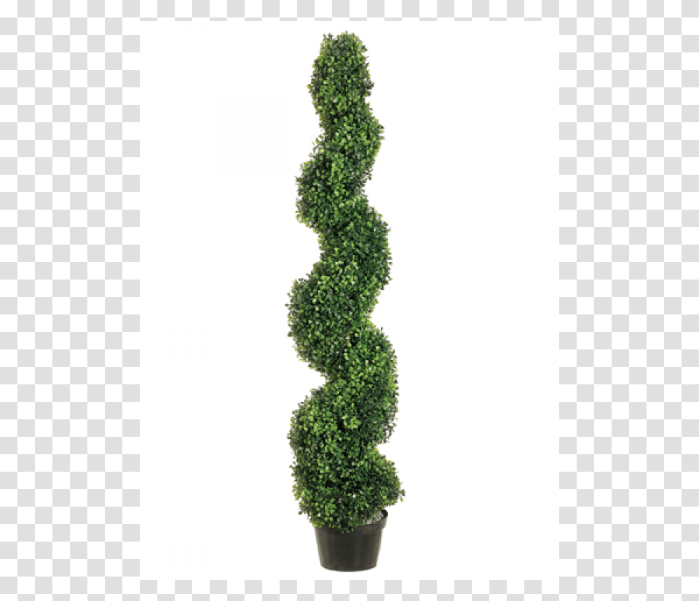 Pond Boxwood Spiral Topiary In Plastic Pot Green, Plant, Bush, Vegetation, Vase Transparent Png