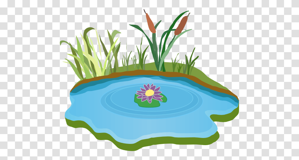 Pond Clip Art, Plant, Vegetation, Nature Transparent Png