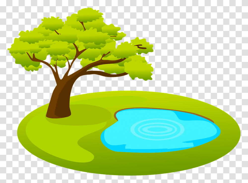 Pond Clipart Dirty Pond, Outdoors, Tree, Plant, Nature Transparent Png