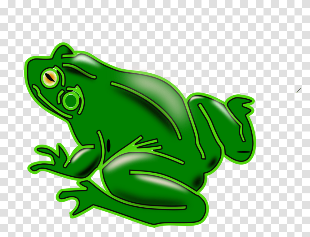 Pond Frogs Amphibian Vertebrate American Green Tree Frog Free, Wildlife, Animal Transparent Png