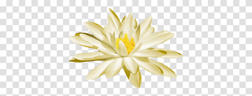 Pond Life Water Lily Graphic By Sheila Reid Pixel Sacred Lotus, Flower, Plant, Blossom, Pond Lily Transparent Png