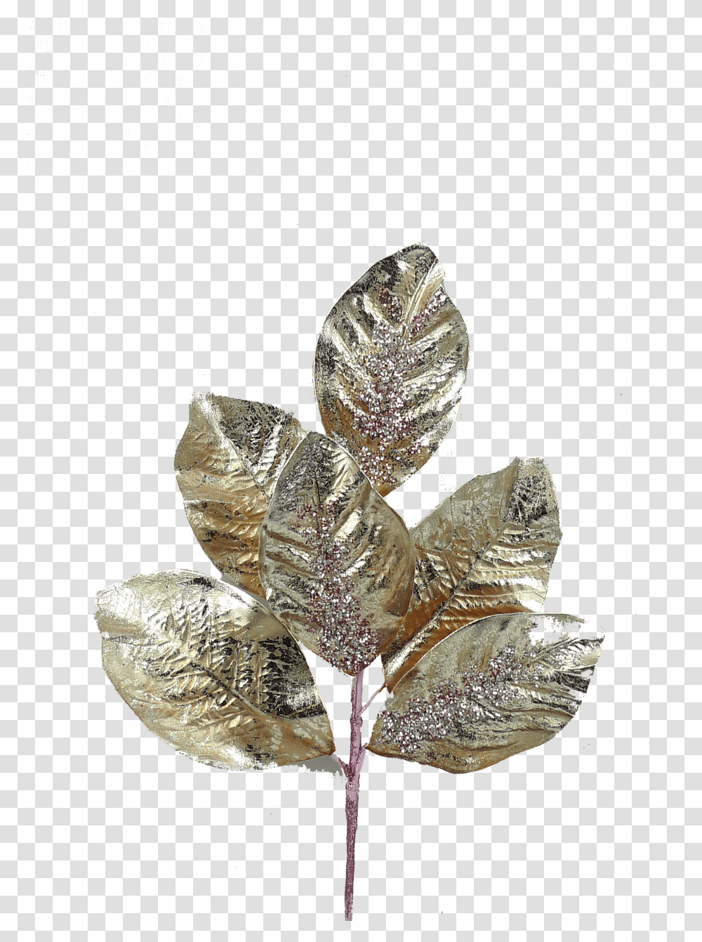 Pond Pine, Leaf, Plant, Aluminium, Silver Transparent Png