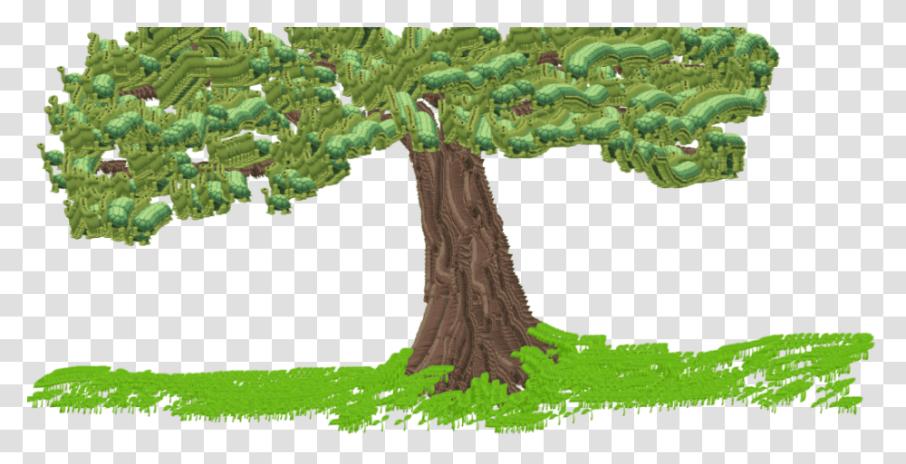 Pond Pine, Tree, Plant, Tree Trunk, Root Transparent Png