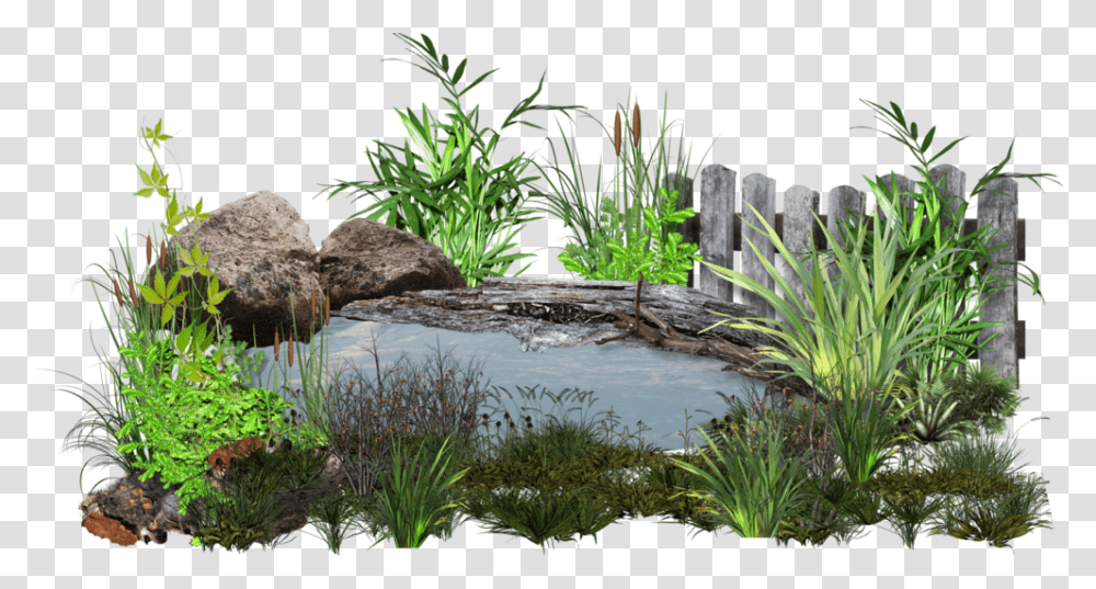 Pond, Plant, Grass, Water, Vegetation Transparent Png