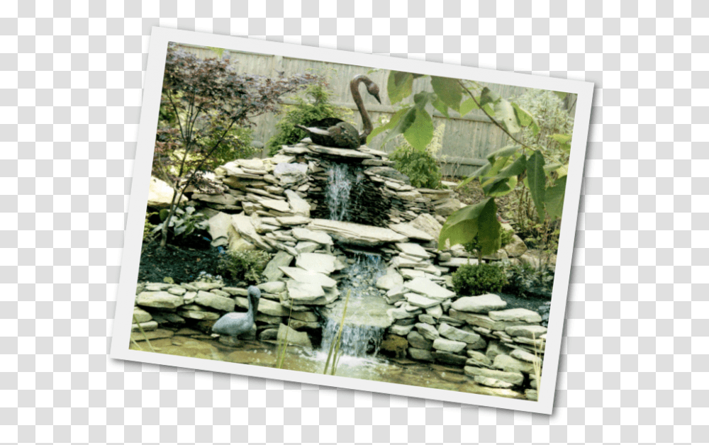 Ponds And Water Gardens Barrington Waterfall Garden, Outdoors, Nature, Bird, Slate Transparent Png