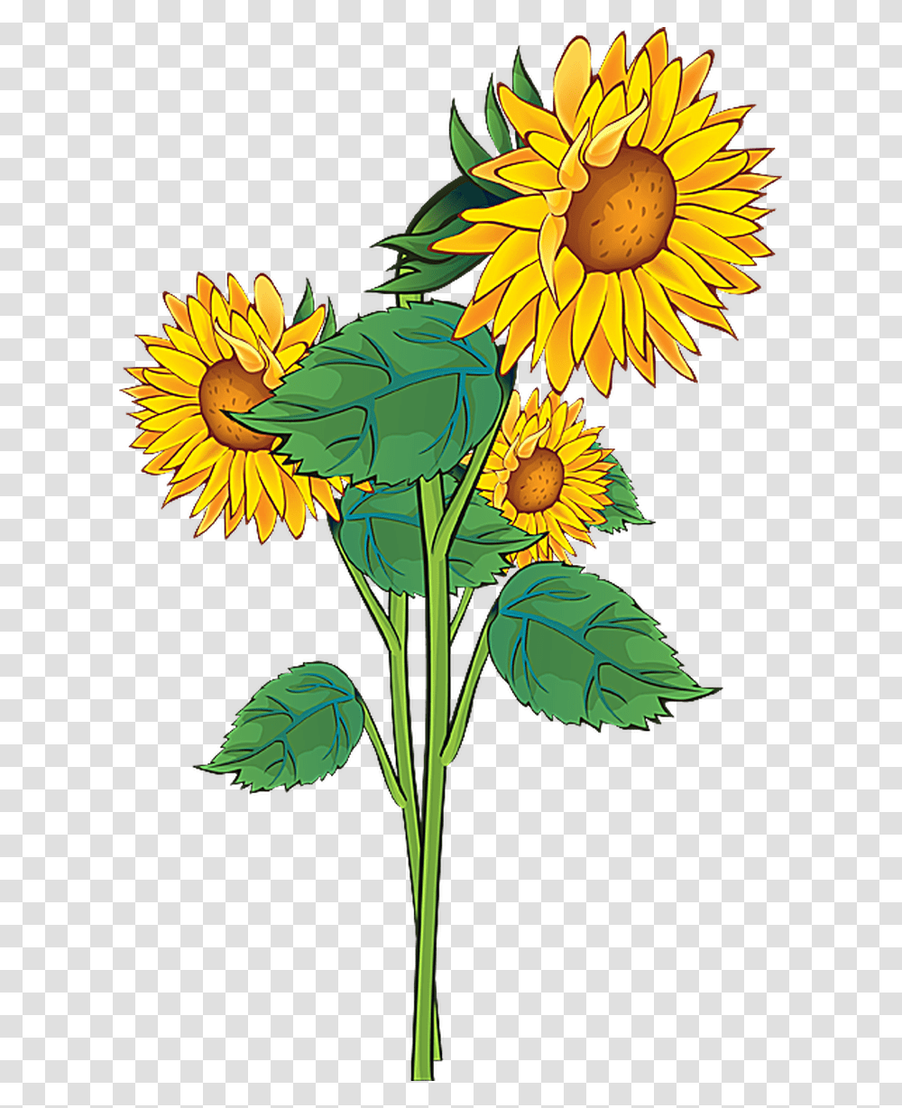Pontiacs Rebellion An Overview Beadwork Flower, Plant, Blossom, Sunflower, Daisy Transparent Png