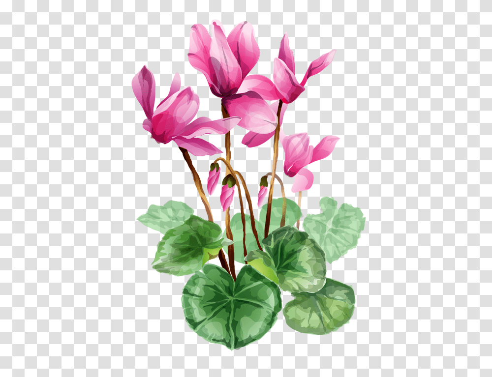 Pontiacs Rebellion An Overview Clip Art Flowers Flower, Plant, Blossom, Geranium, Flower Arrangement Transparent Png
