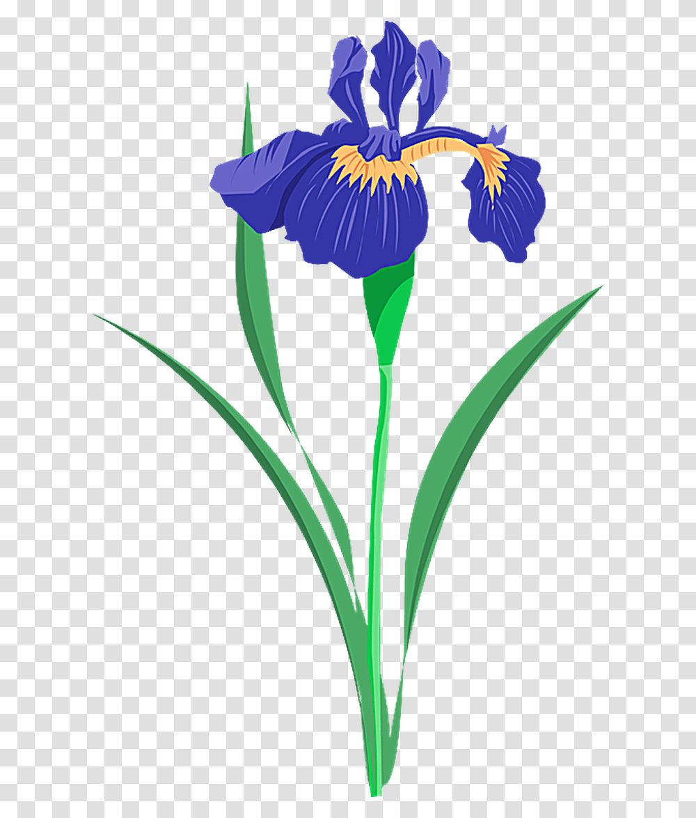 Pontiacs Rebellion An Overview In Spring Weddings, Plant, Iris, Flower, Blossom Transparent Png