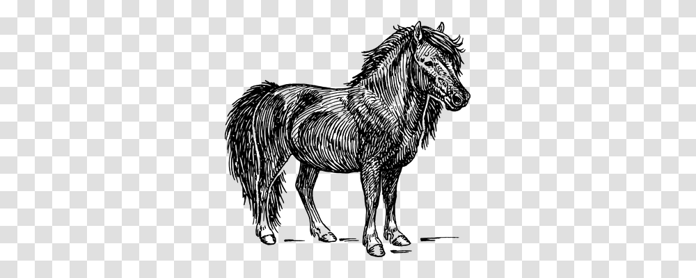 Pony Technology, Gray, World Of Warcraft Transparent Png