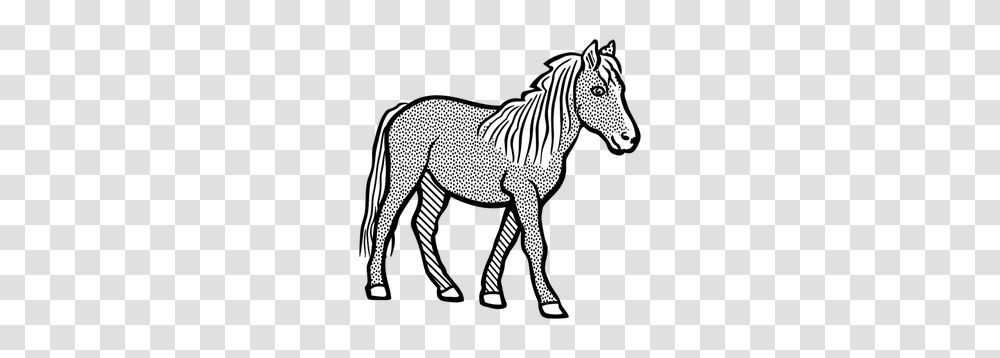 Pony Clip Art, Zebra, Wildlife, Mammal, Animal Transparent Png