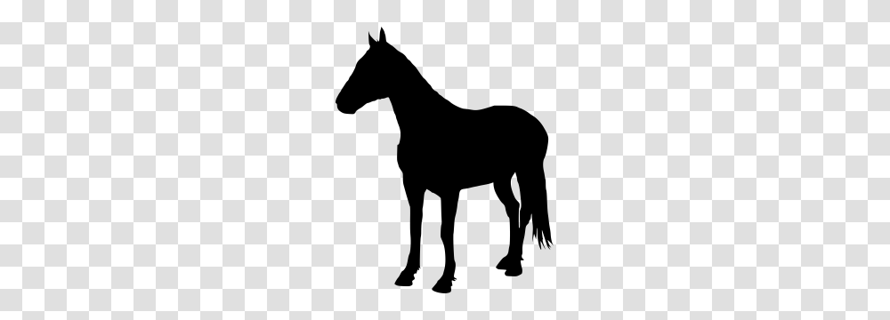 Pony Ride Clipart Free Clipart, Gray, World Of Warcraft Transparent Png