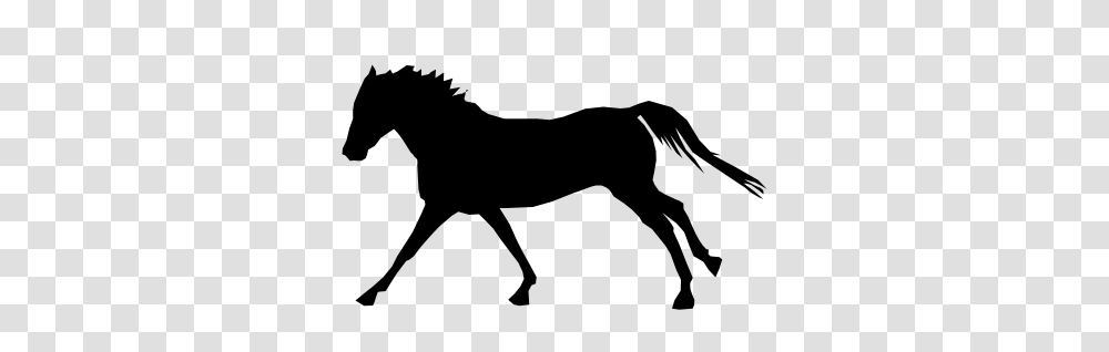 Pony Silhouette Clipart, Gray, World Of Warcraft Transparent Png