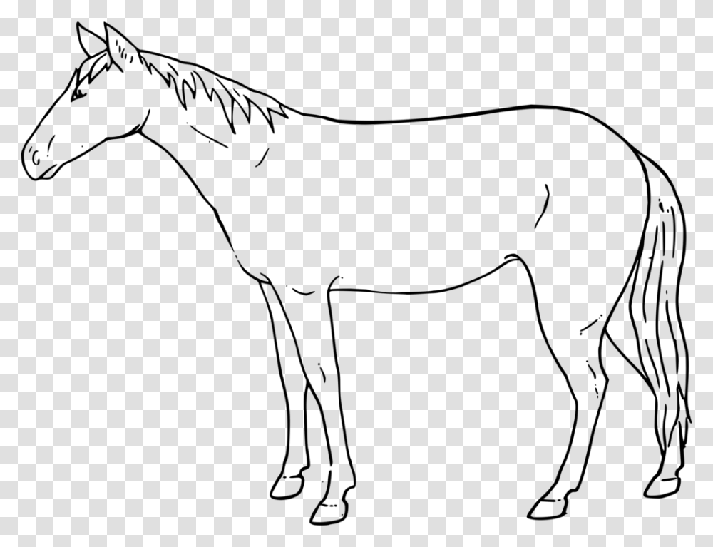 Ponyhorse Tackcolt Horse Standing Sketch Easy, Gray, World Of Warcraft Transparent Png