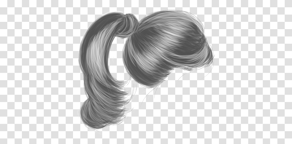 Ponytail Amp Free Ponytail Images Black Ponytail Hair, Person, Hair Slide Transparent Png