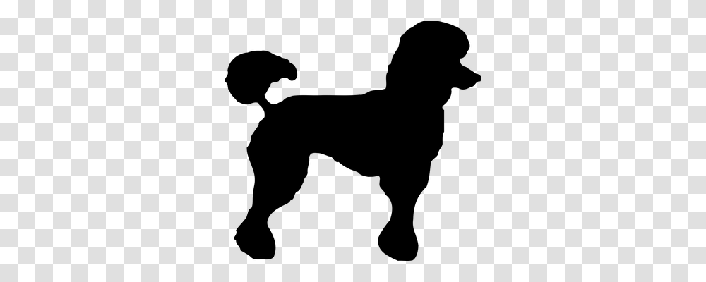 Poodle Animals, Gray, World Of Warcraft Transparent Png