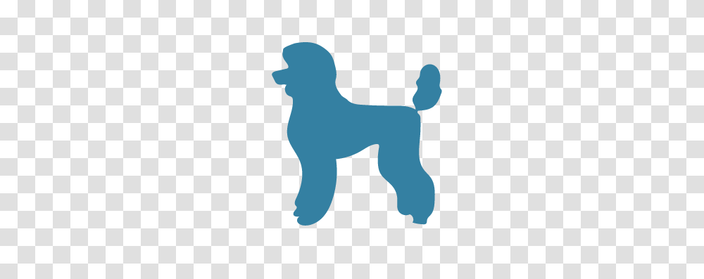 Poodle Archives, Silhouette, Pet, Animal, Terrier Transparent Png