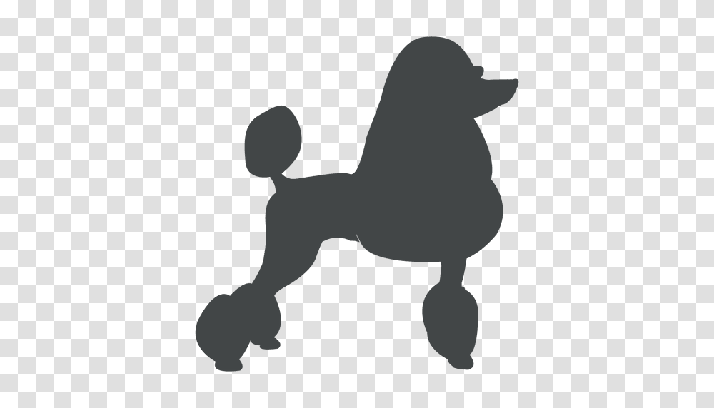 Poodle Silhouette Images Amazon Com Oval Full Sized Poodle, Alien, Kneeling Transparent Png