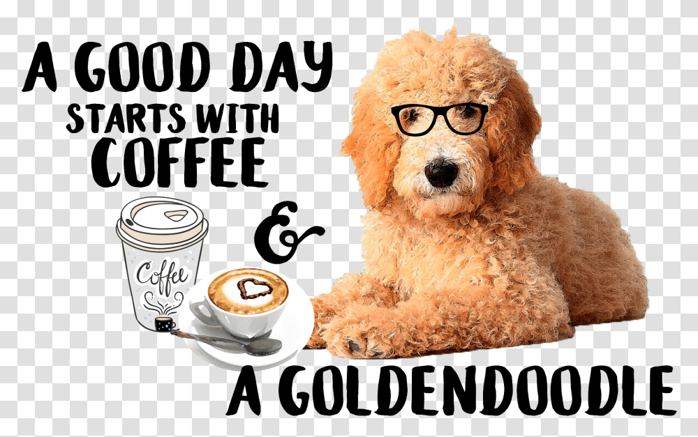 Poodle, Toy, Coffee Cup, Teddy Bear, Pottery Transparent Png