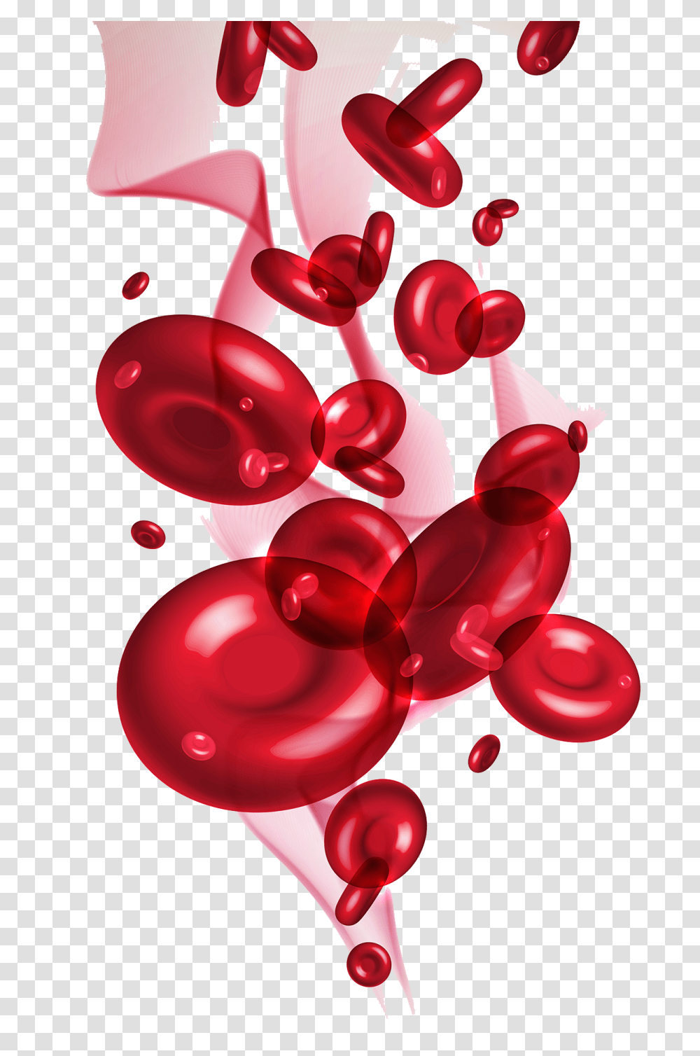Pool Of Blood Blood Cells Image, Plant, Fruit, Food, Cherry Transparent Png