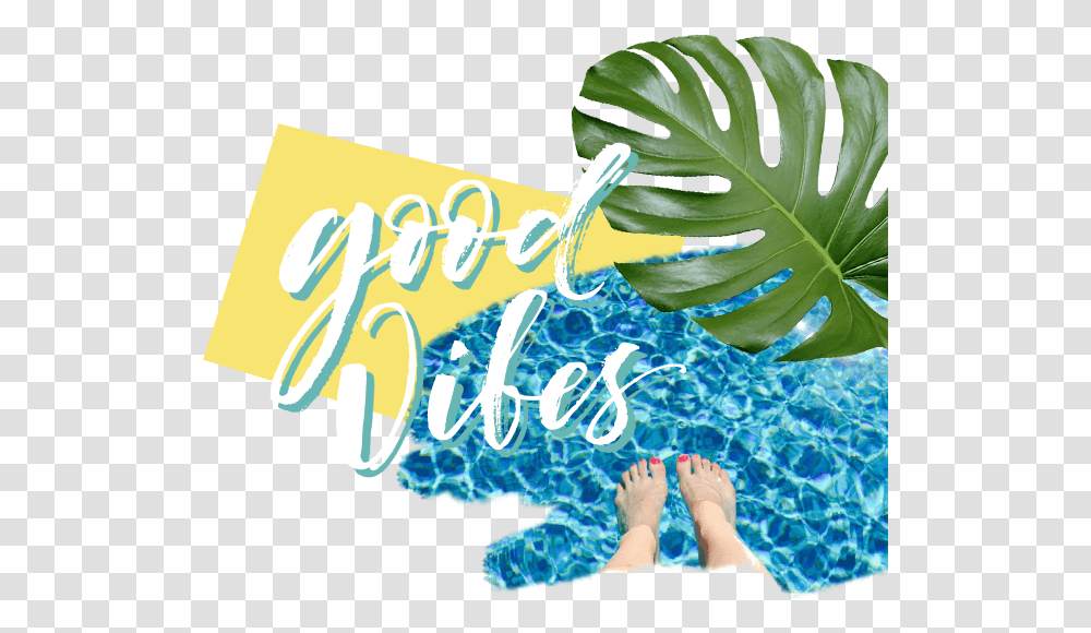 Pool Party, Plant, Person, Food, Vegetable Transparent Png