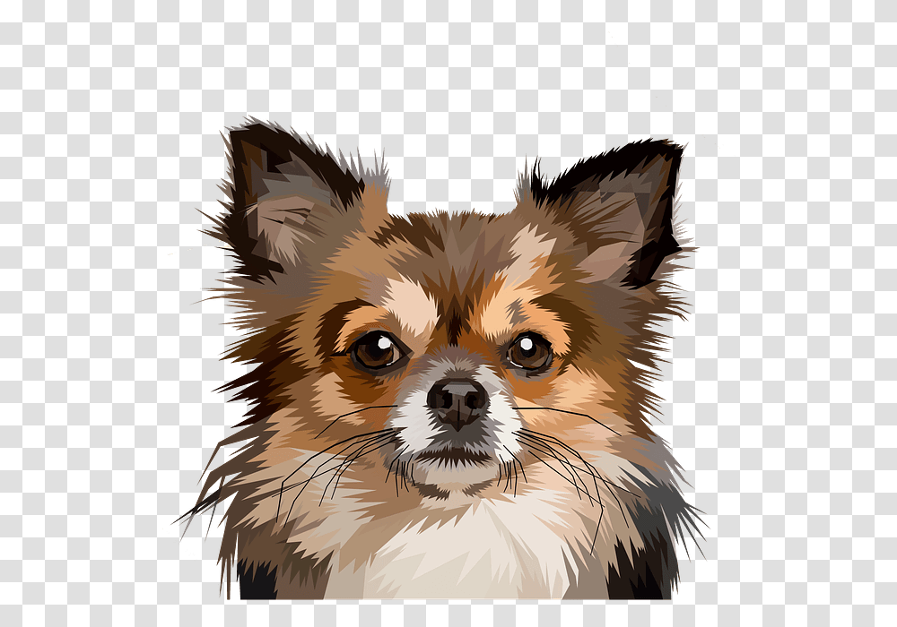 Pop Art Dog Chihuahua, Chicken, Poultry, Fowl, Bird Transparent Png