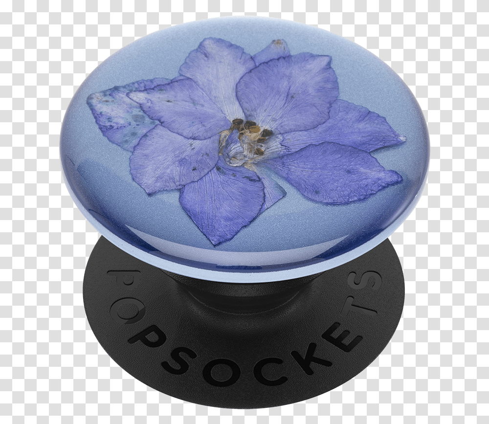 Pop Socket Pressed Flower, Plant, Porcelain, Pottery Transparent Png