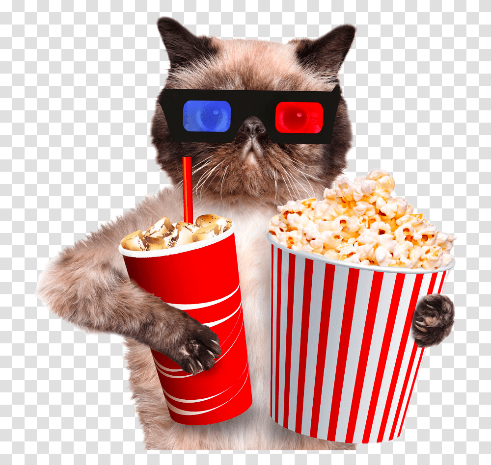 Popcorn Image Cat And Popcorn, Food, Pet, Mammal, Animal Transparent Png