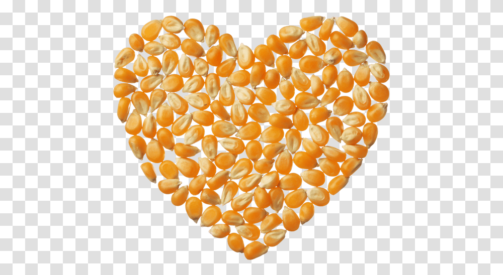 Popcorn Kernels Corn Heart, Plant, Food, Fruit, Produce Transparent Png