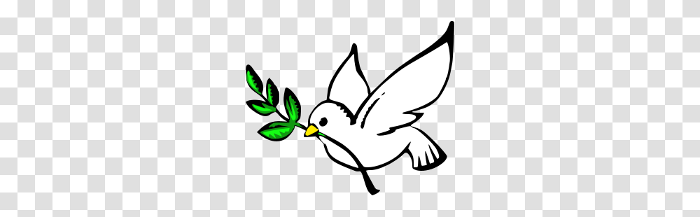 Pope Franics Catechism On The Gifts Of The Holy Spirit Begins, Bird, Animal, Outdoors, Water Transparent Png