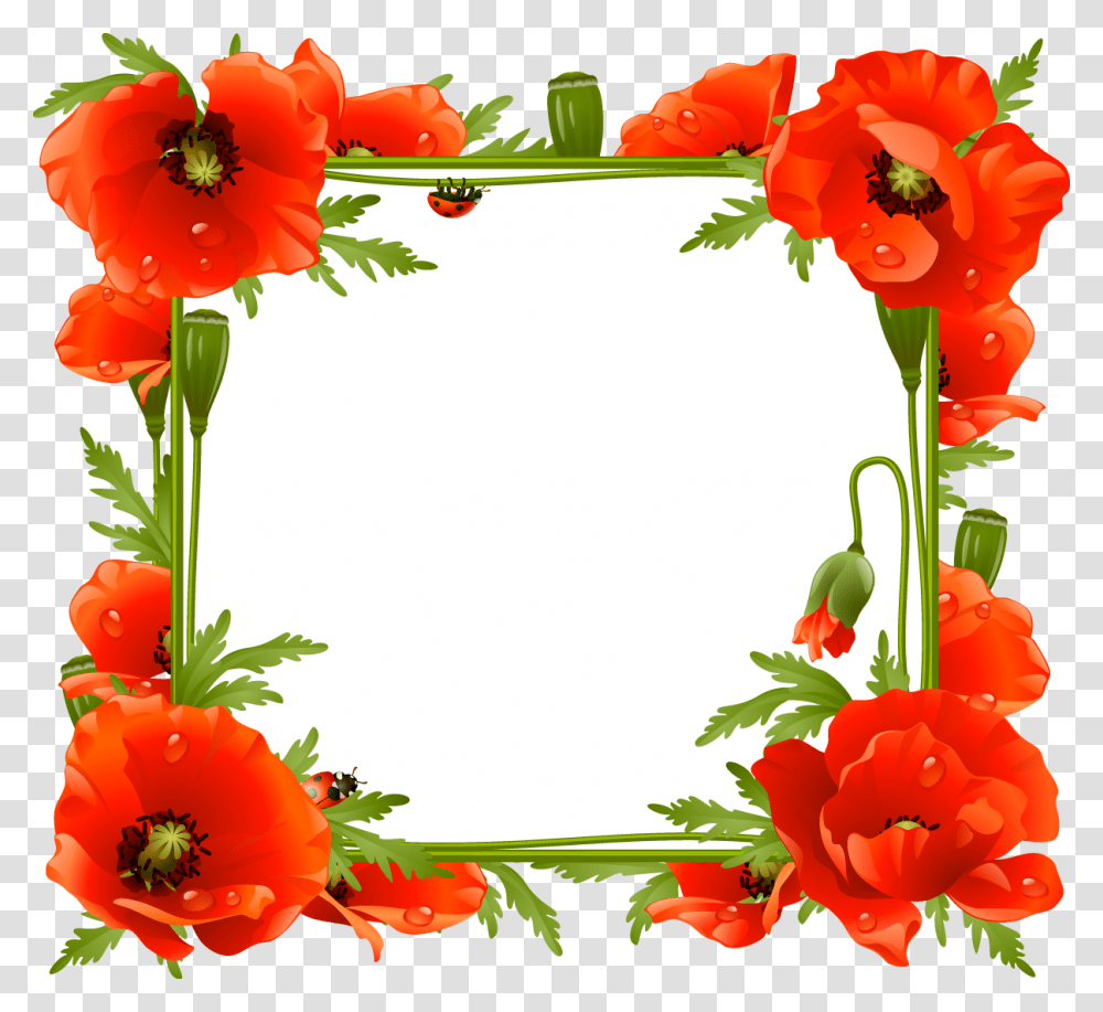 Poppies Frame Clipart Download Poppy Frame, Plant, Floral Design, Pattern Transparent Png
