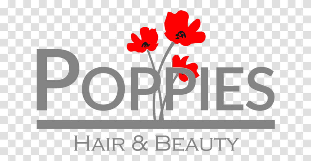 Poppies Illustration, Text, Alphabet, Number, Symbol Transparent Png