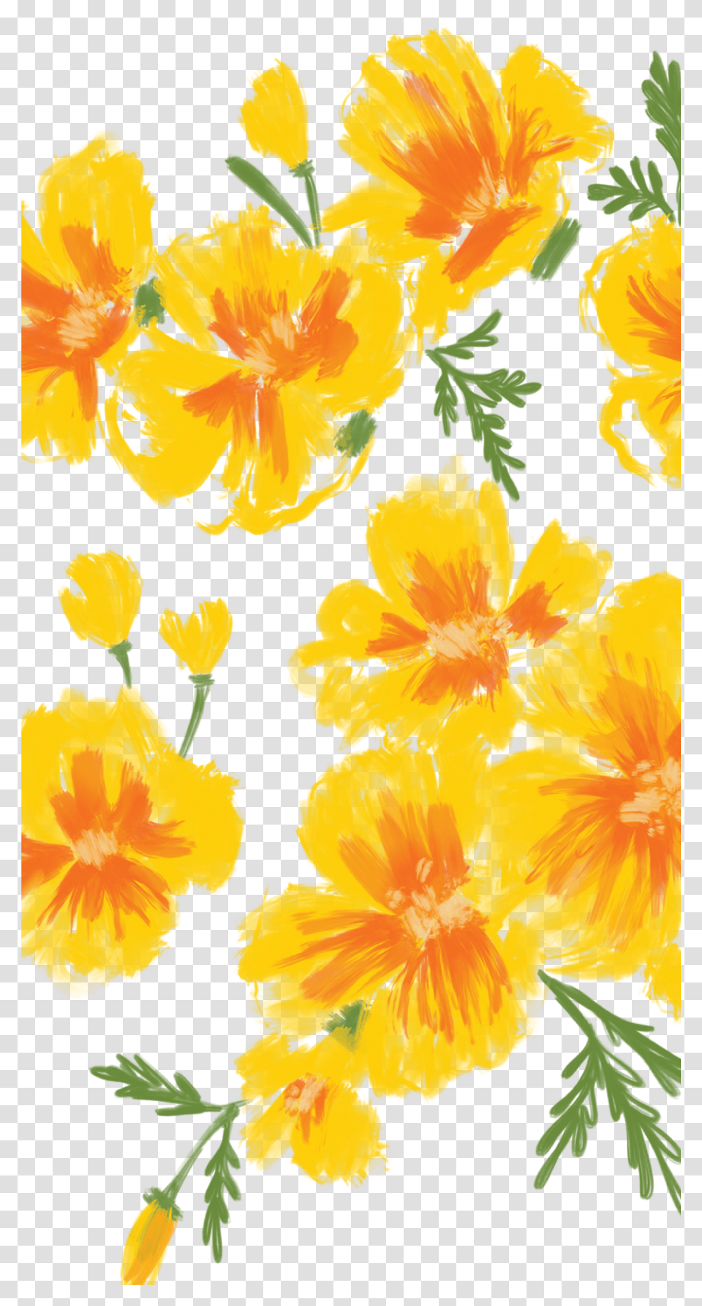 Poppies Iphone Floral Wallpaper Hd Transparent Png