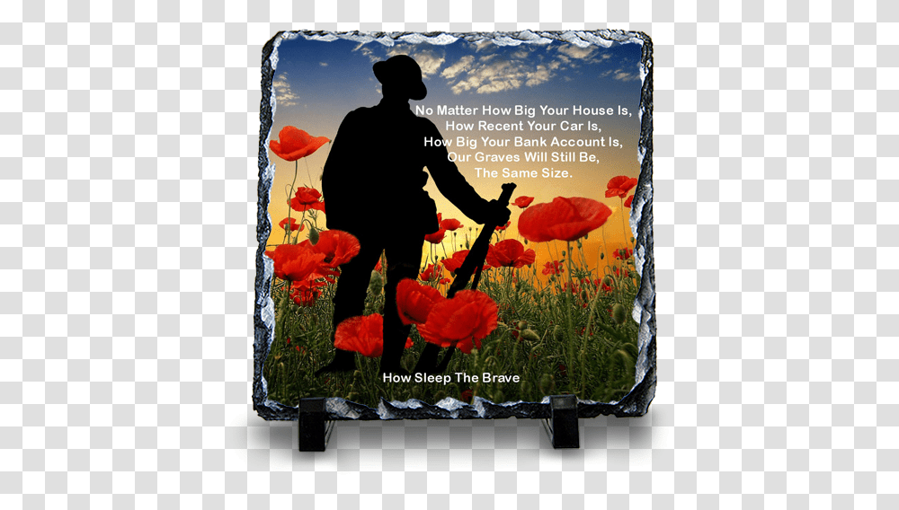 Poppies, Person, Human, Plant, Flower Transparent Png