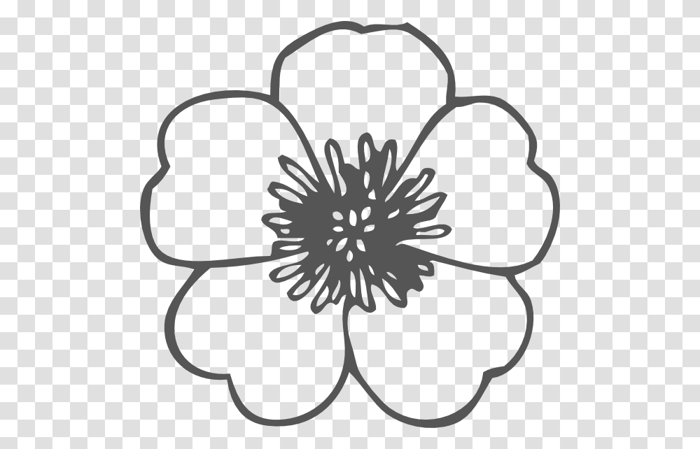 Poppy Black And White Outline Flower Clipart, Plant, Petal, Blossom, Hibiscus Transparent Png