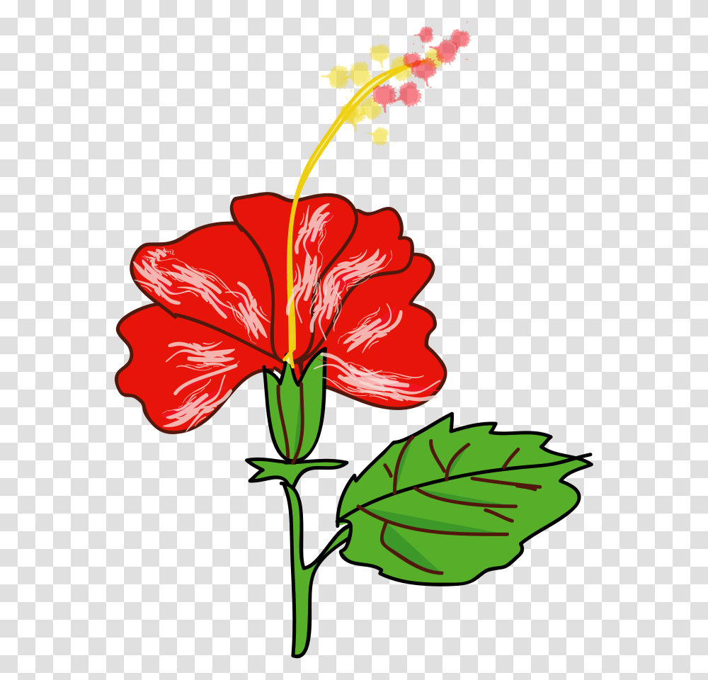 Poppy Clip Art, Hibiscus, Flower, Plant, Blossom Transparent Png