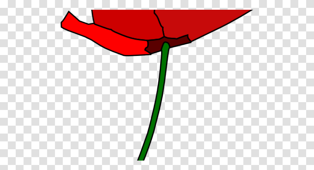 Poppy Clipart 4 Flower Cartoon Poppy Flower Download Poppy Flower Cartoon, Bow, Glass, Plant, Alcohol Transparent Png