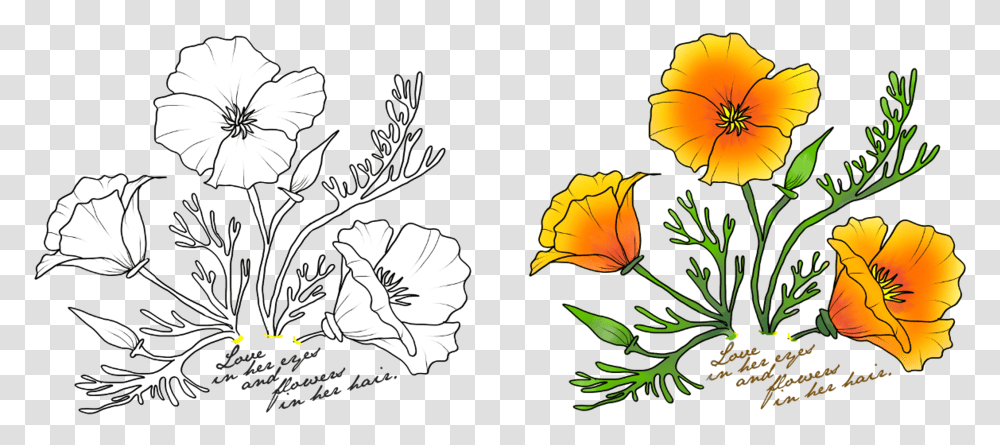 Poppy Clipart California State Flower Drawing, Floral Design, Pattern, Plant Transparent Png